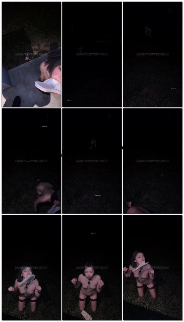 -强烈推荐】，顶级露脸小母狗【Lunana】推特5000元订阅福利⑧，露出喝尿调教啪啪，各种花样，玩花了