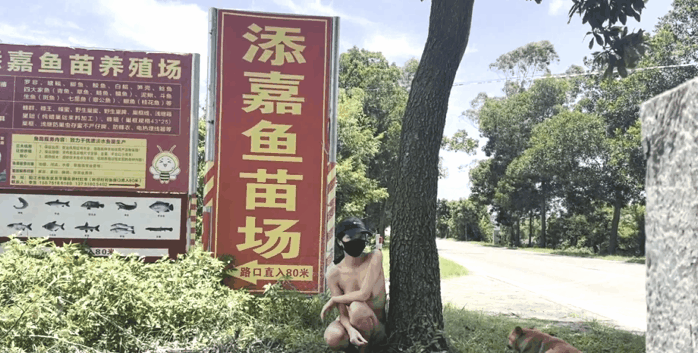 超大胆御姐cikaimoon第二期来了全裸和大叔打篮球[11V/6G]夸克盘